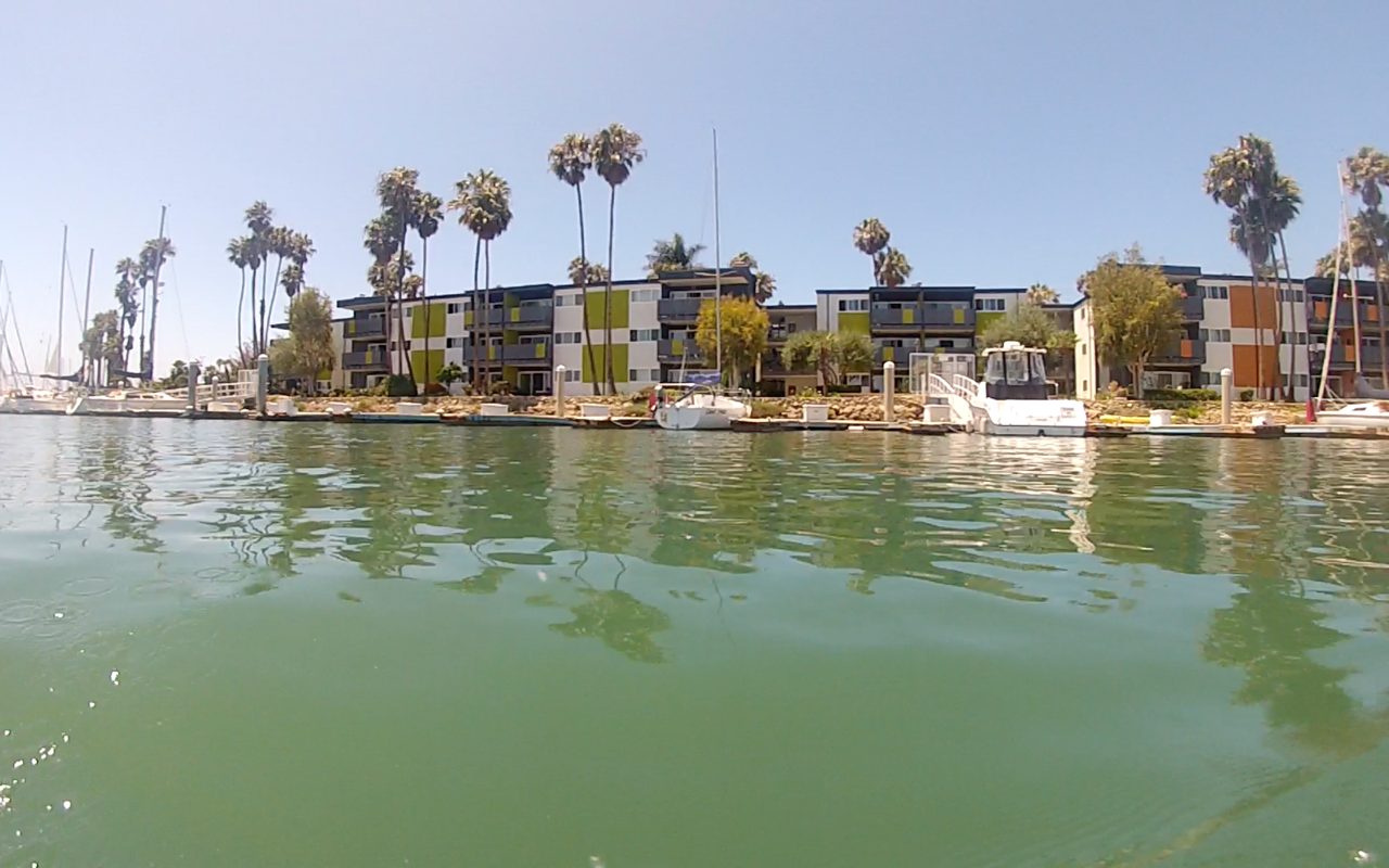 7.png.png